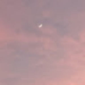 Meet your Posher, Laney